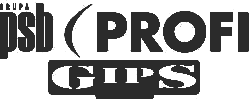 PSB Profi Gips System